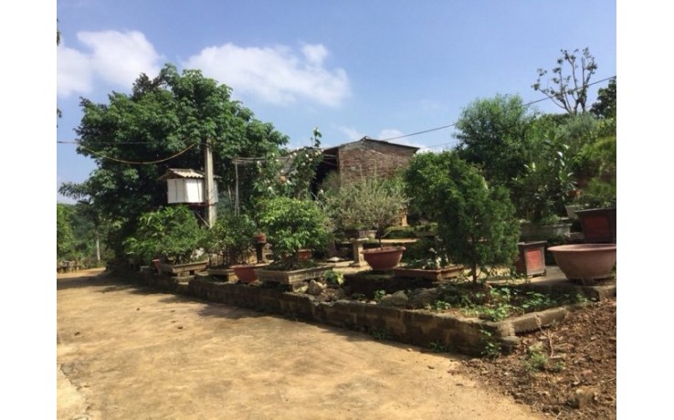 Bán trang trại 1,5 Ha tại xã Yên Bài, huyện Ba Vì, Hà Nội. 320 N/m2